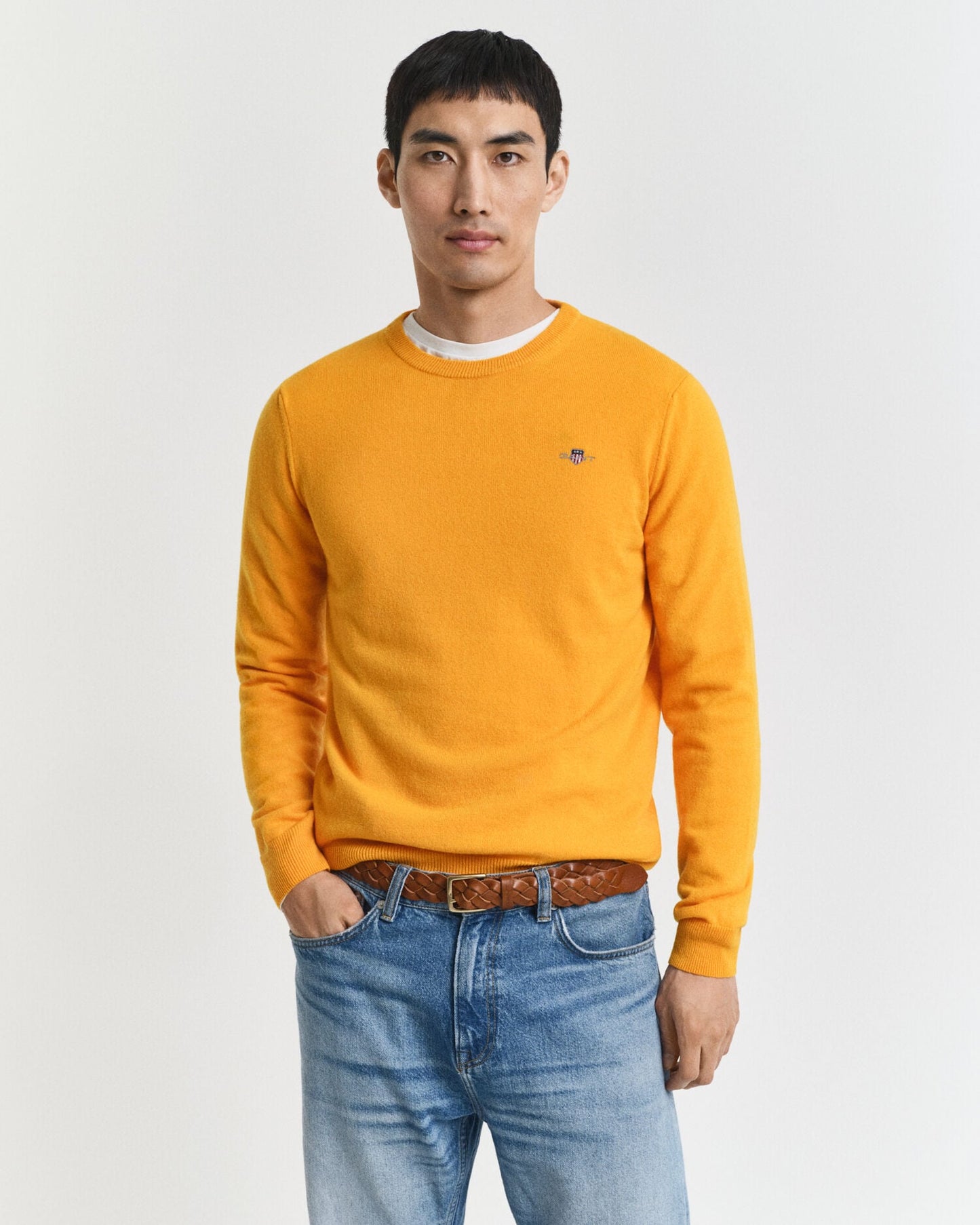 Pull ras du cou en laine d'agneau ultrafine